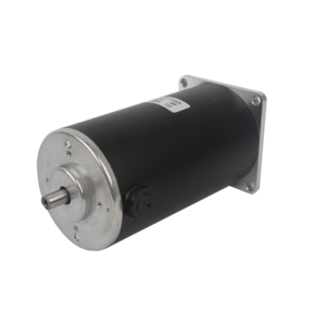 Wholesale High Torque small brushed motor 35W-150W 12V 24V DC dual shaft brush motor for hair dryer