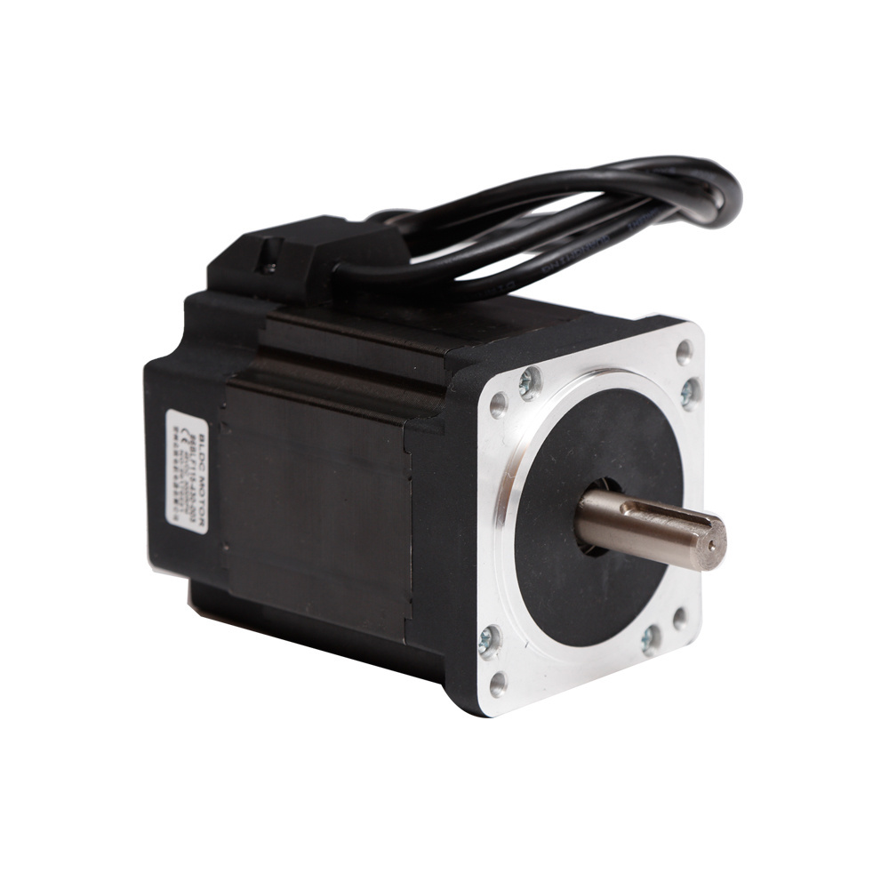 Factory direct sale 4000rpm 316w 24v DC brushless motor electric car dc motor