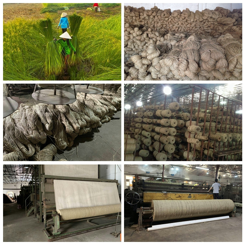 china wholesale vietnam natural seagrass carpet wall to wall  sea grass carpet roll for home hotel resort restaurant