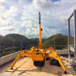 mini Crawler crane spider crane