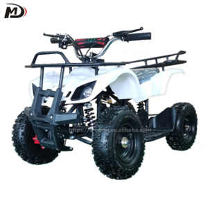 Kids 49cc mini quad atv 2 stroke four wheeler dirt bike 50cc