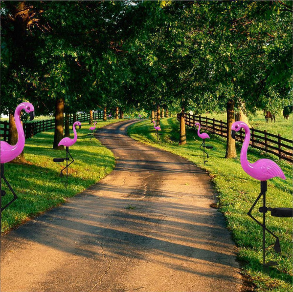 Flamingo LED Stake Light Garden Decorative 3 in 1 Solar Powered Outdoor Stake Pink Lights