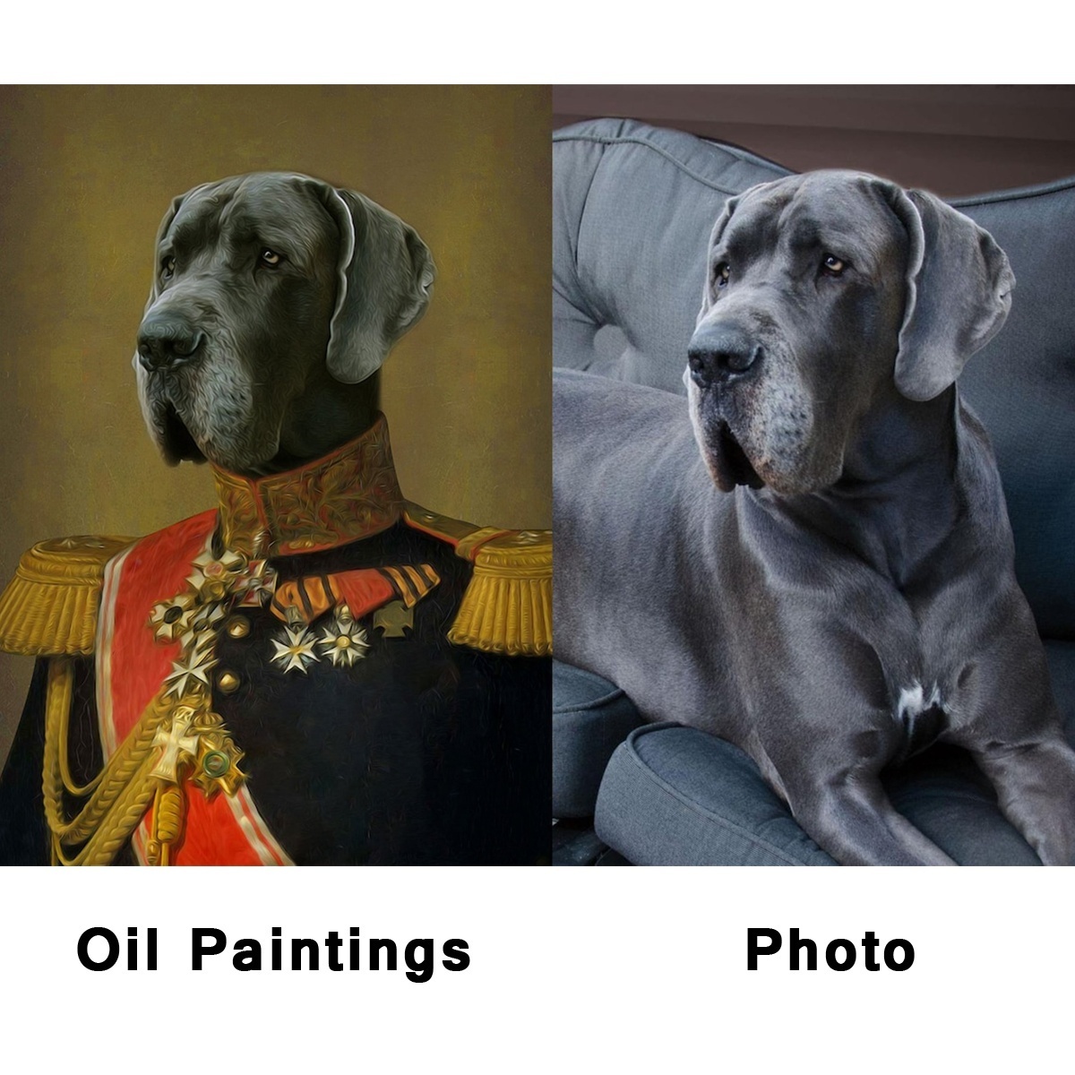 100% hand painting Custom Oil Painting Royal cat portrait Custom Pet Portrait Dog Portrait painting from photo Memorial Gift