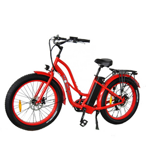 2019 Mofun 26inch fat lady ebike 750W ecycle beach cruiser electric fat bike from China MF-902