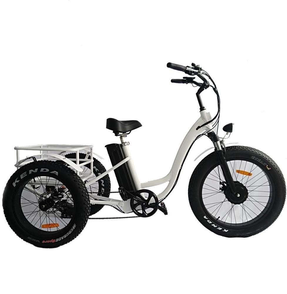 2019 Mofun 500W cargo electric fat bike 3 wheel electric trike fat tire electric tricycle from China MF-602