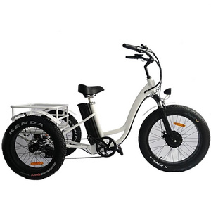 2019 Mofun 500W cargo electric fat bike 3 wheel electric trike fat tire electric tricycle from China MF-602