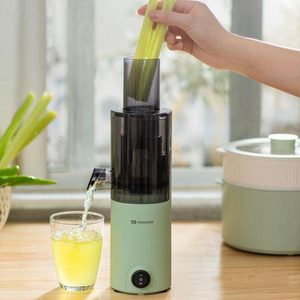 Supplier portable automatic multifunctional orange wheatgrass slow juicer