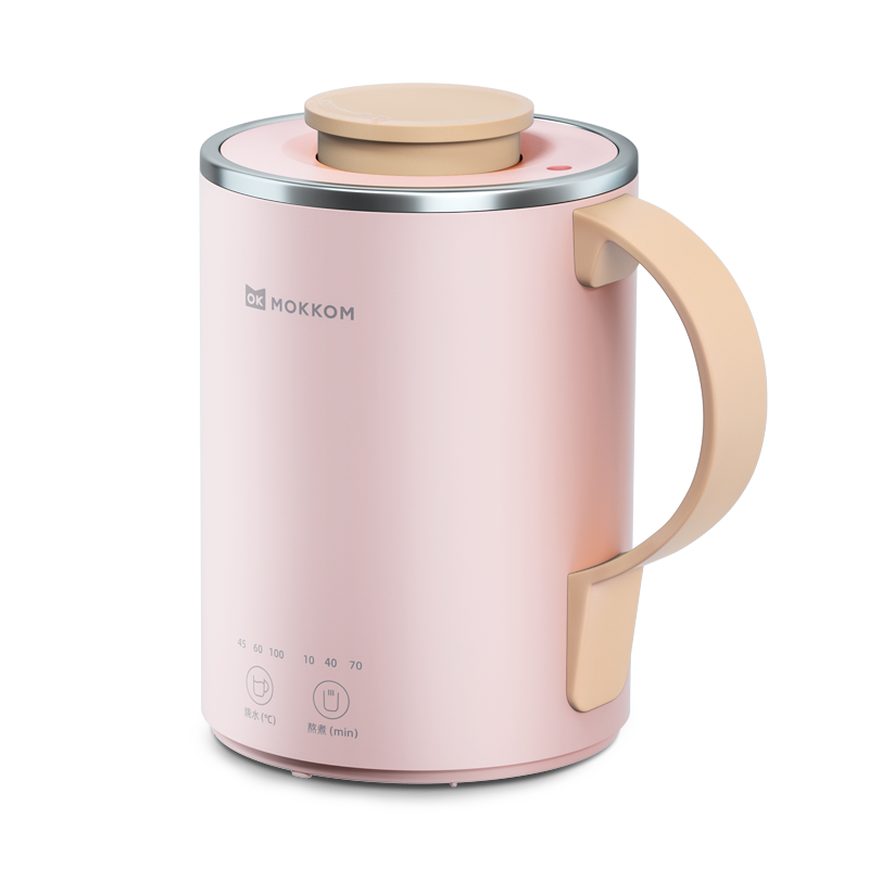 2021 popular personal  Stainless steel multifunctional water Cup electric small kettle