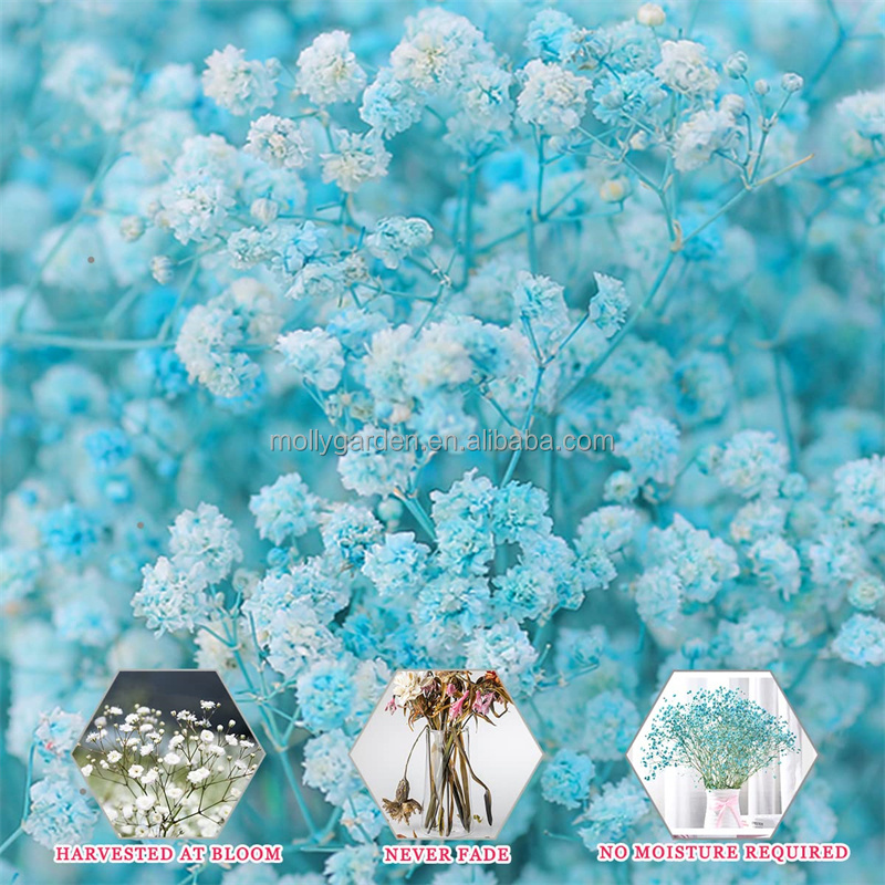 M3-120g Factory wholesale dried flowers preserved natural gypsophila babys breath bouquet for wedding floral flower arrangement