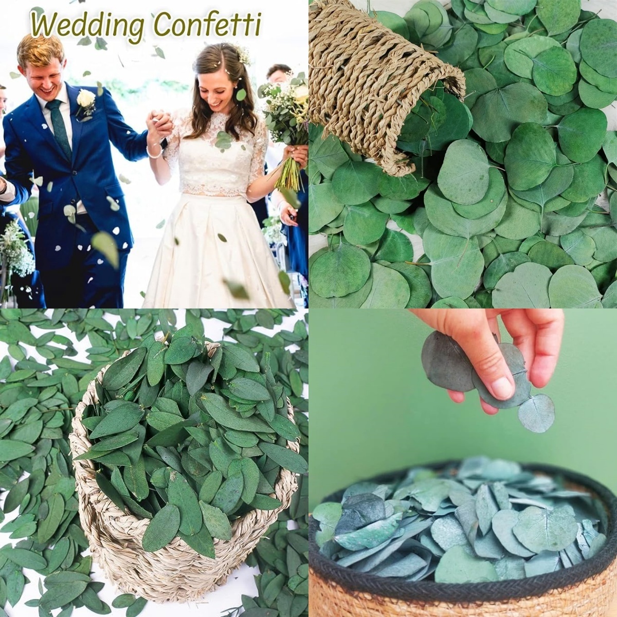 100% Preserved Real Eucalyptus Leaves Natural Bulk Eucalyptus Customized Biodegradable Wedding Leaves Confetti DIY Decoration