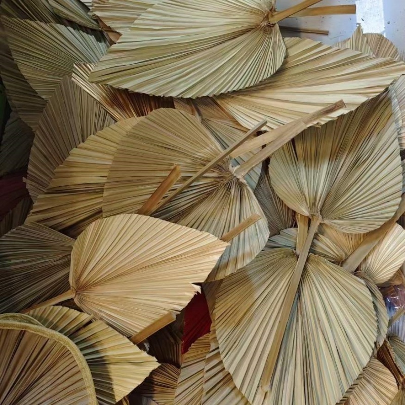 Wholesale Natural Boho Dried Palm Leaves Natural Large Small Dry Palm Flower Fan Leaf  Wedding Decor