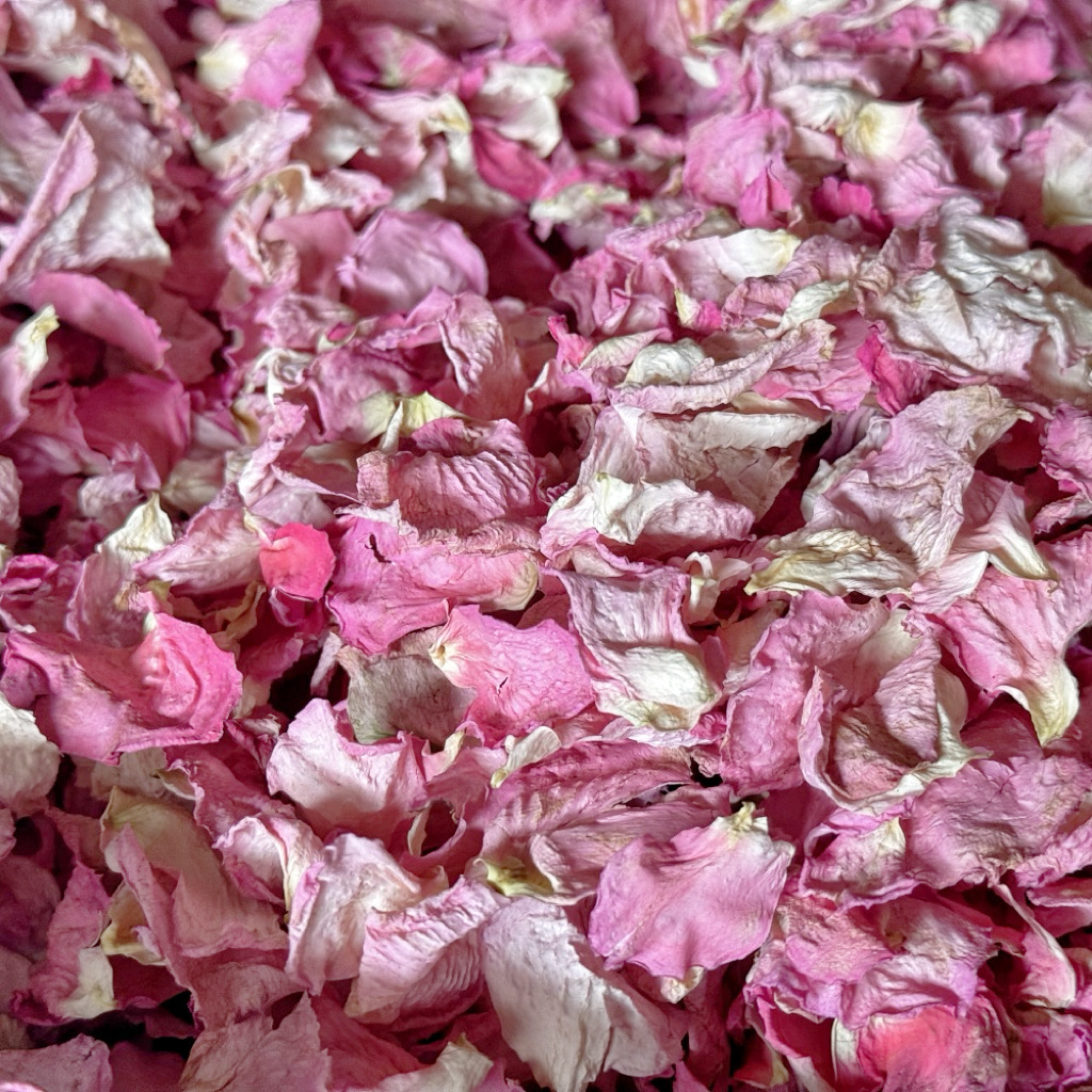 Wedding Confetti Dried Rose Petals 100% Natural Dried Plants Biodegradable Confetti Red Roses Petals