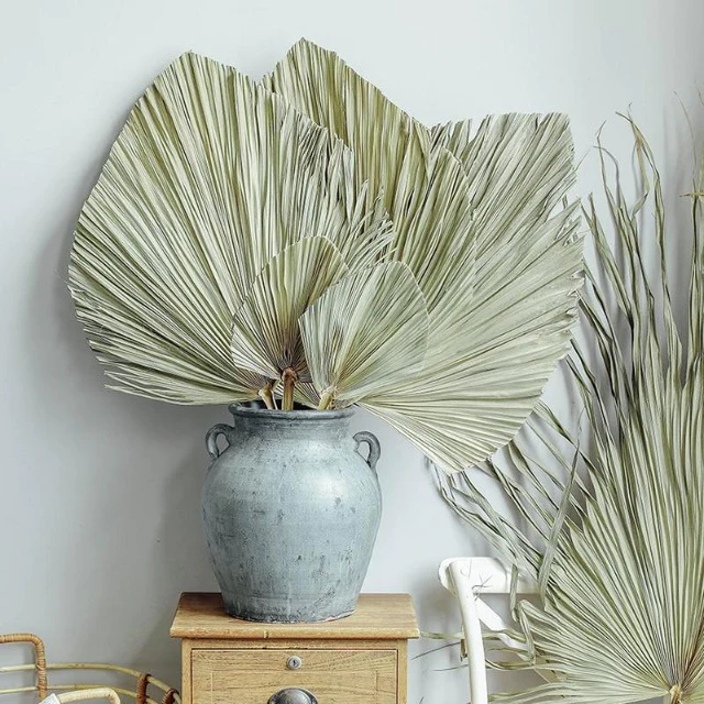 Wholesale Natural Boho Dried Palm Leaves Natural Large Small Dry Palm Flower Fan Leaf  Wedding Decor