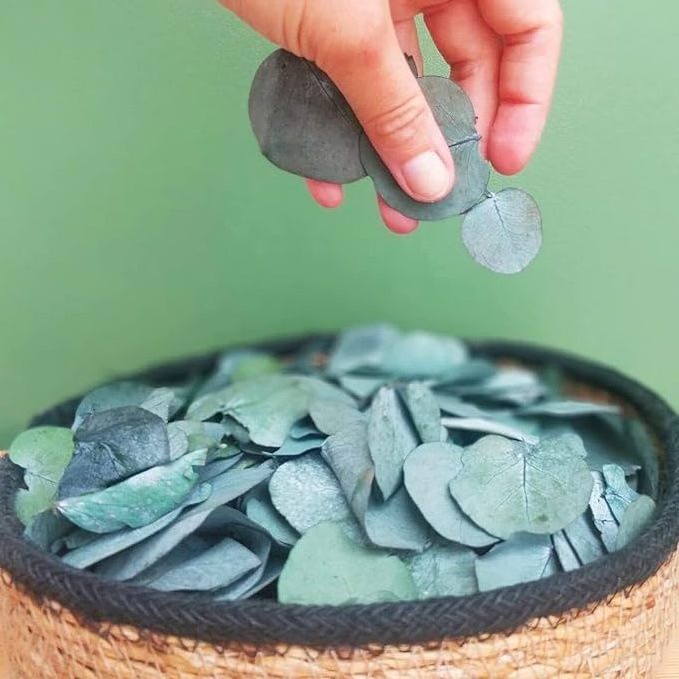 100% Preserved Real Eucalyptus Leaves Natural Bulk Eucalyptus Customized Biodegradable Wedding Leaves Confetti DIY Decoration