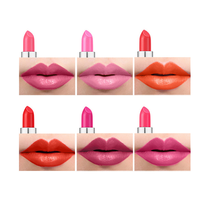 12 colors beauty lip makeup bullet shape sexy rose red pink no logo lipstick lip stick matte