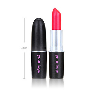 12 colors beauty lip makeup bullet shape sexy rose red pink no logo lipstick lip stick matte