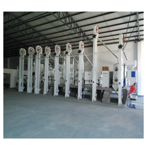 20tpd Small Complete Set Combined Rice Mill Processing Machine/ Parboiled Rice Milling Machine And Polishing Machine