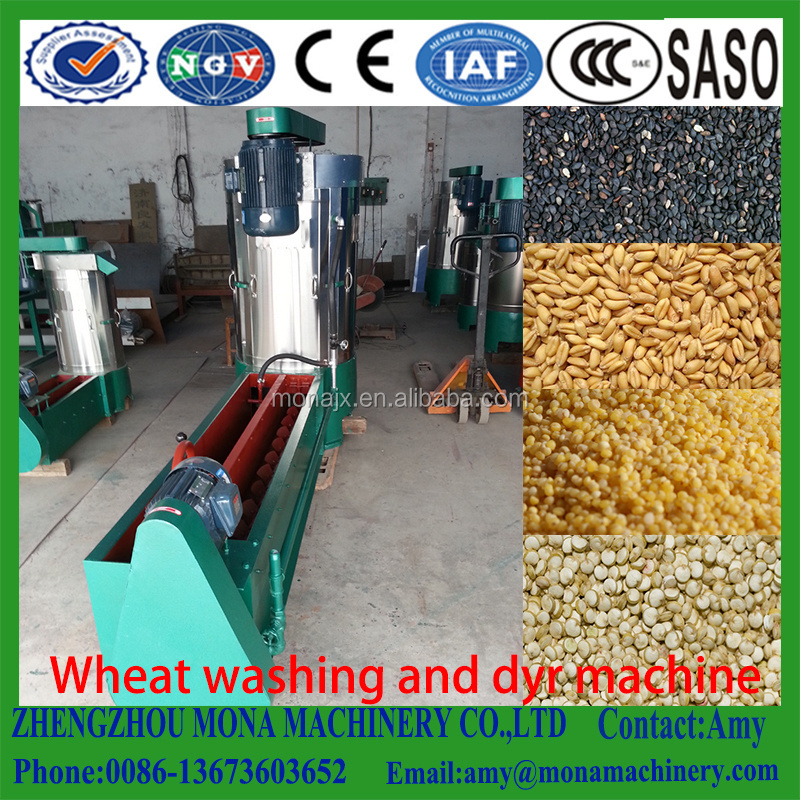 Industrial Corn Seed Paddy Washing Drying Machine Millet Washer Grain Cleaning Machine price