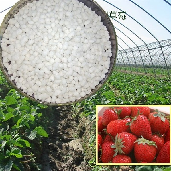 Calcium Magnesium Nitrate Fertilizer Hydroponic Culture Water Soluble Fertilizer cal mag fertilizers