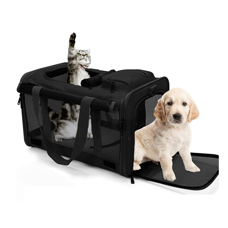 New cat bag Easy to go out pet bag Breathable foldable pet suitcase Single shoulder crossbody pet suitcase