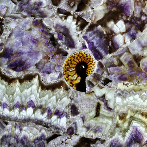 Natural purple crystals quartz geode countertop large amethyst slab