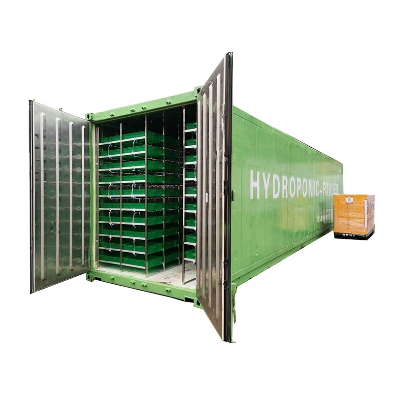 Hydroponic Wheat Fodder Sorghum Seeds Breeding Germination Machine