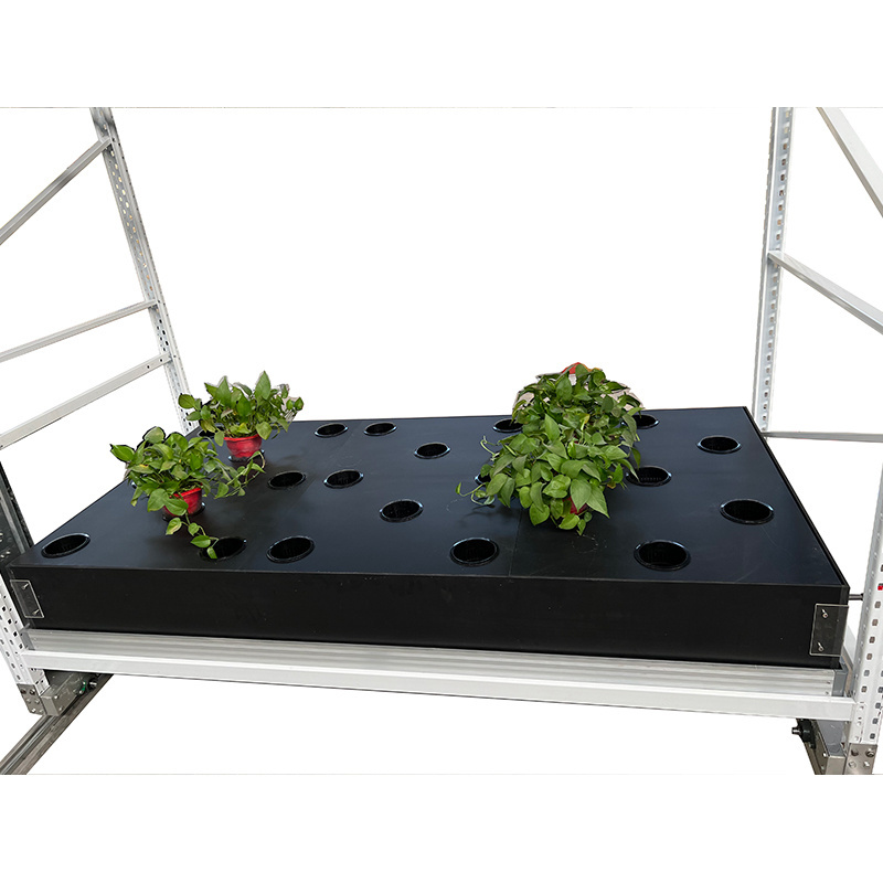 2021 New Kind Indoor Aeroponic Systems Automatic Cloner Machine 30 Hydroponics Pump Provided United States Vegetable, Fruit