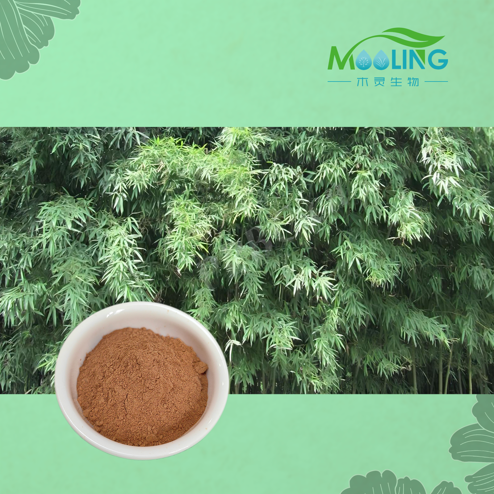 Wholesale Bamboo Leaf Extract Powder Bamboo Leaf Flavonoid