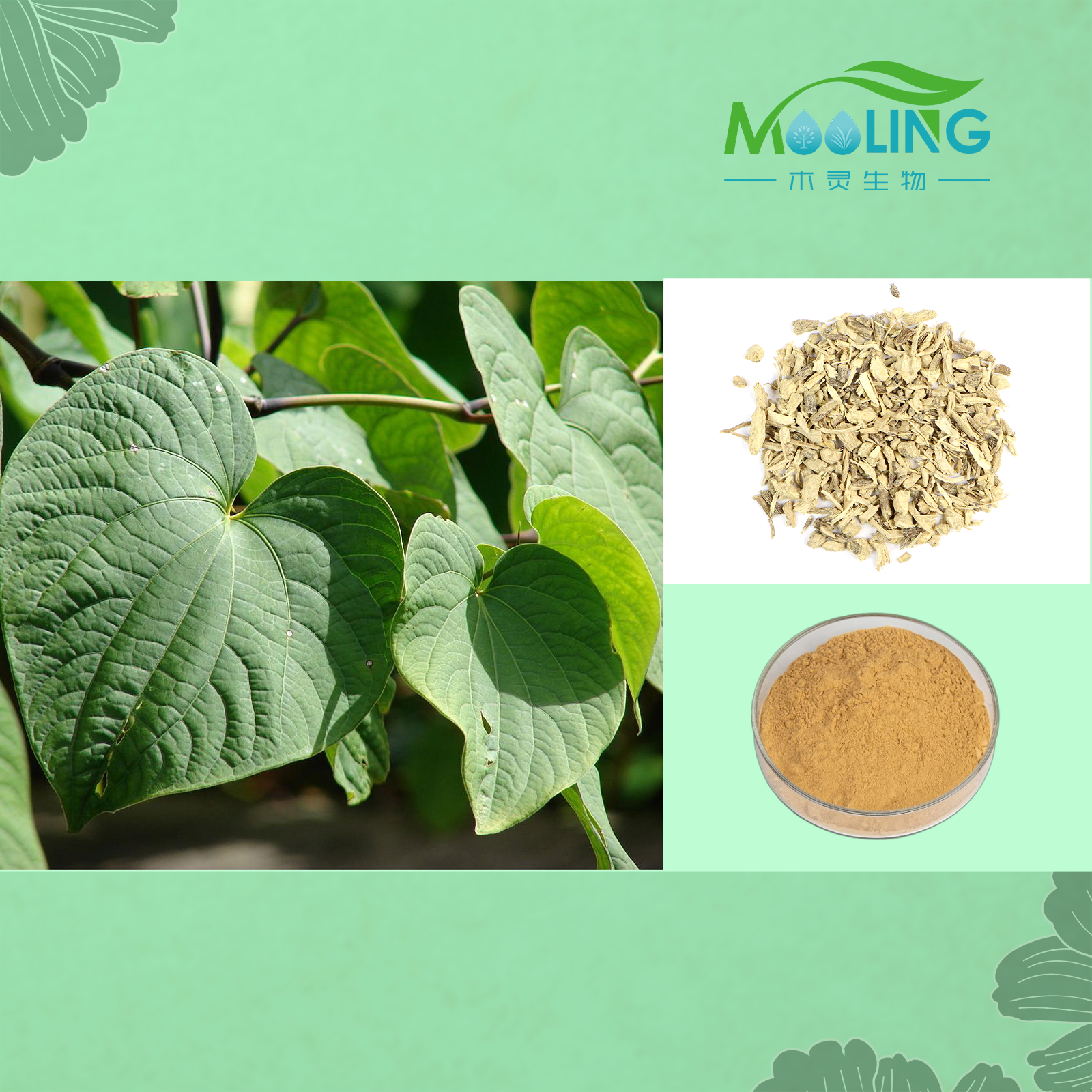 Factory Supply Kava Root Extract Powder 30% 70% Kavalactone Extract CAS 9000-38-8