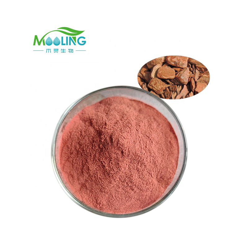 Factory Supply High Quality Pine Bark Extract Powder 95% procyanidine