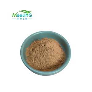 High Quality Agrocybe Chaxingu Extract powder Tea Tree Mushroom Extract