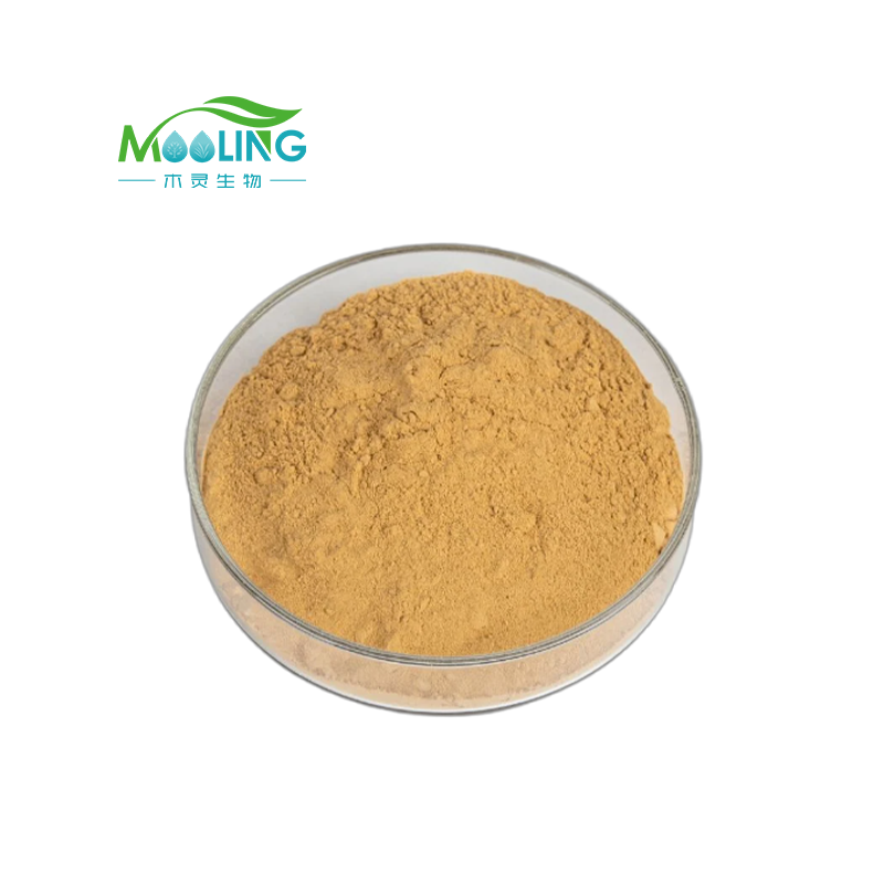 Factory Supply Kava Root Extract Powder 30% 70% Kavalactone Extract CAS 9000-38-8