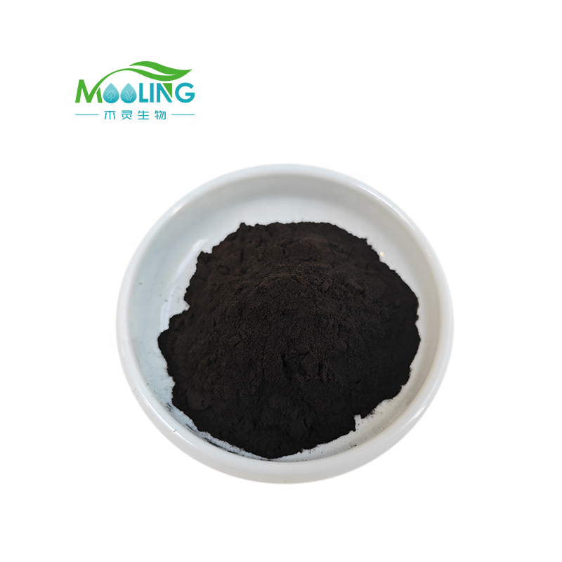 Best Price Natural Black Currant Extract Black Currant Powder