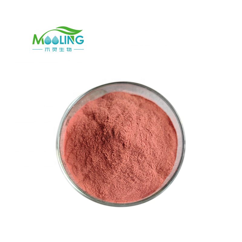 Factory Supply High Quality Pine Bark Extract Powder 95% procyanidine