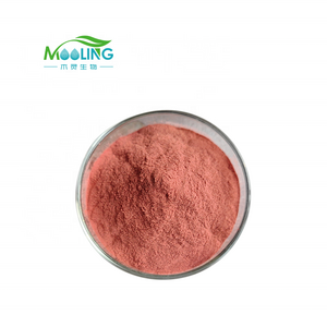 Factory Supply High Quality Pine Bark Extract Powder 95% procyanidine