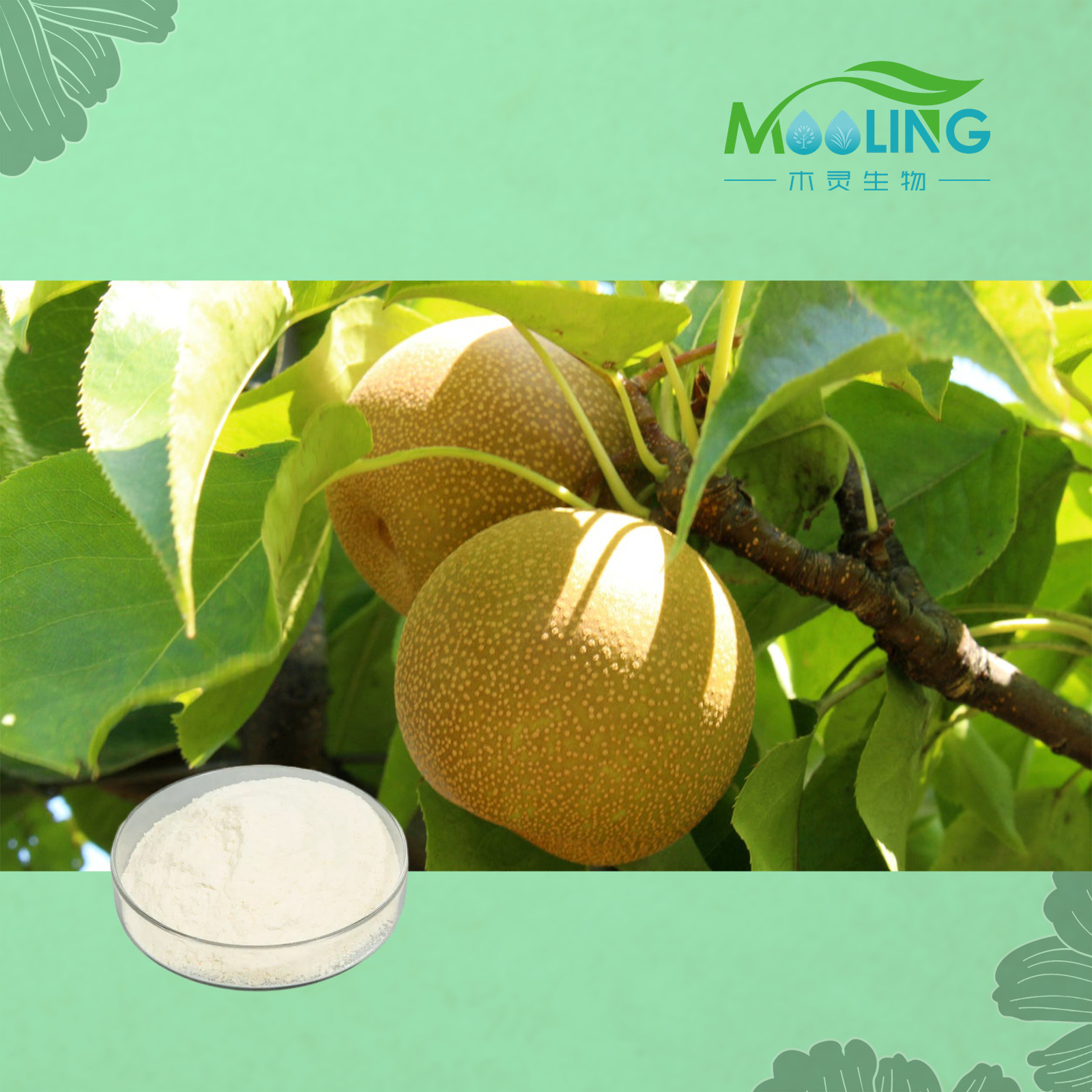 Factory Supply Pure Snow Pear Juice Powder Snow Pear Powder