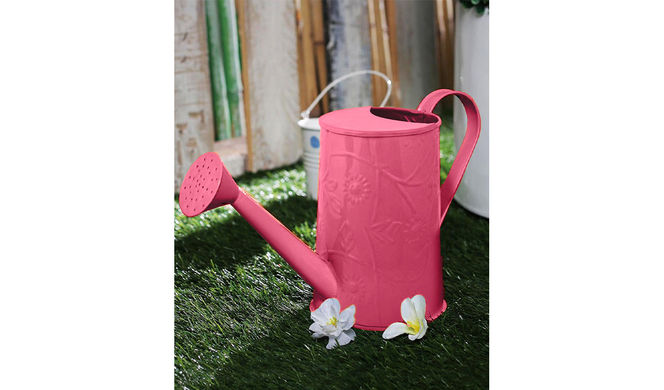 Portable Spherical Watering Pot Metal Watering Cane With Simple Design And Long Nozzle And Round Handle For Outdoor Garden