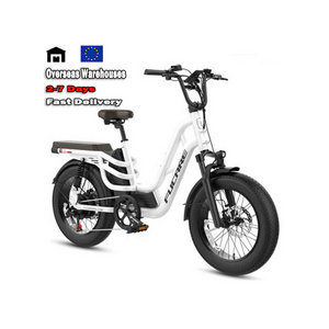 EU Warehouse STOCK  China Factory FUCARE E Bikes Electric Bicycle 48V Electric City Bike Nice Price Electric Motorcycle