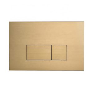 Hidden Water Tank Push Button SS 304 Panel Wall Hung Cistern  Stainless Steel Brushed Gold P V D Dual Flush