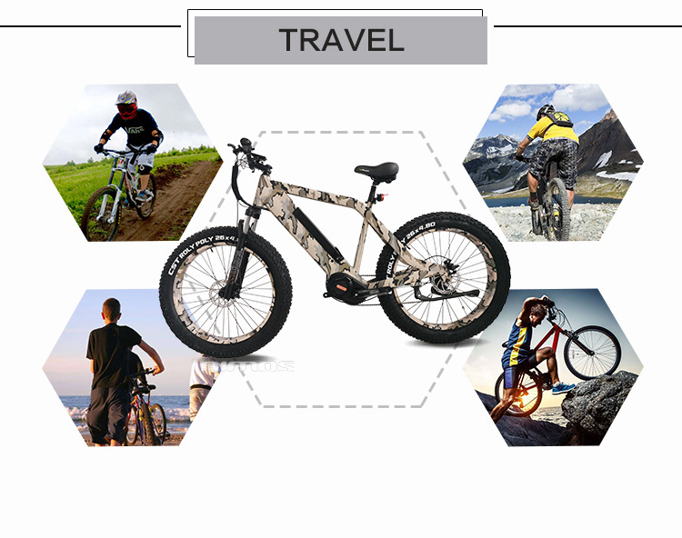 1000W MTB Electric Fat Tire Bike OEM Ebike with Bafang M620 Mid Drive Motor 8fun Electric Mountain Bike