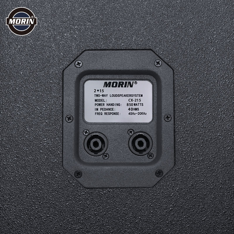 MORIN Party  Double 15 Inch Speakers Audio Sound System 850 Watts