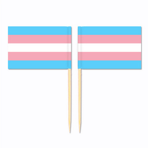 Trans sexual paper print full color bamboo stick double side tooth pick flag