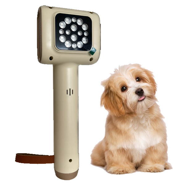 Medical Pet Use Machine Red light therapy for dog pet laser pointer device