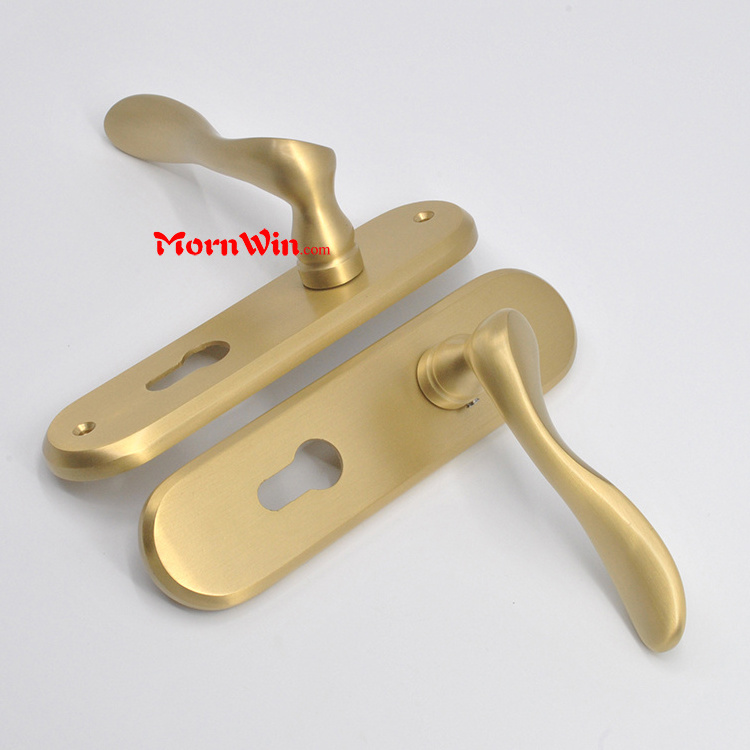 Brass Door Handles on plate