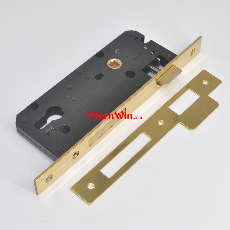 Gold finish mortise door lock