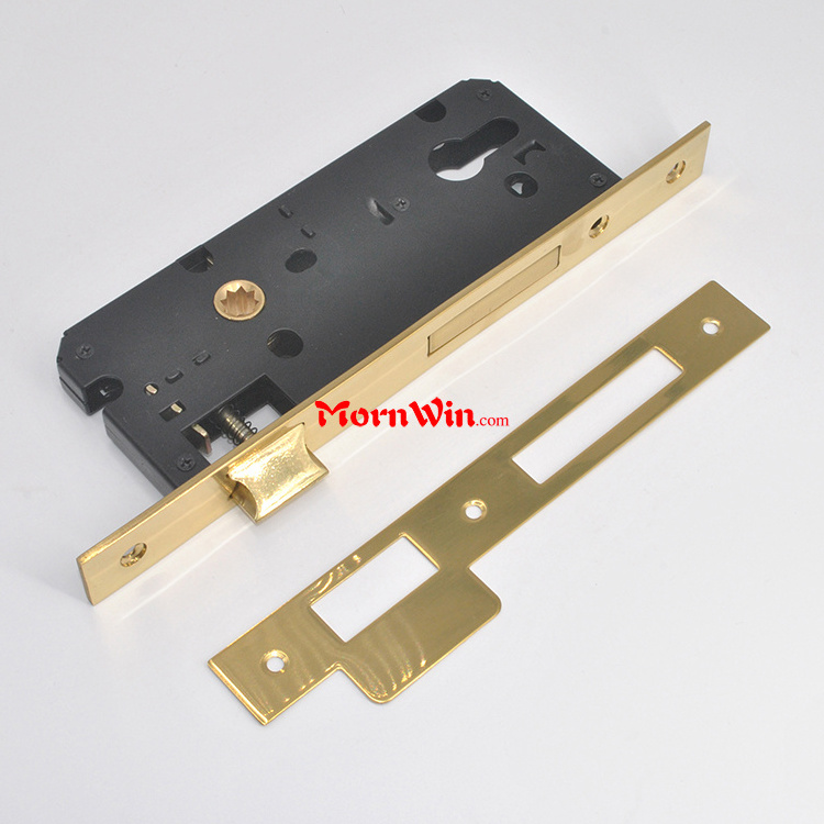 Gold finish mortise door lock