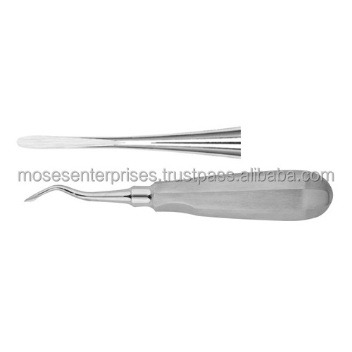 Back Action Dental Tooth Straight Spade Concave Root Tip Dental Elevators Surgical Lab Dentist Dental Winter Root Elevator Right