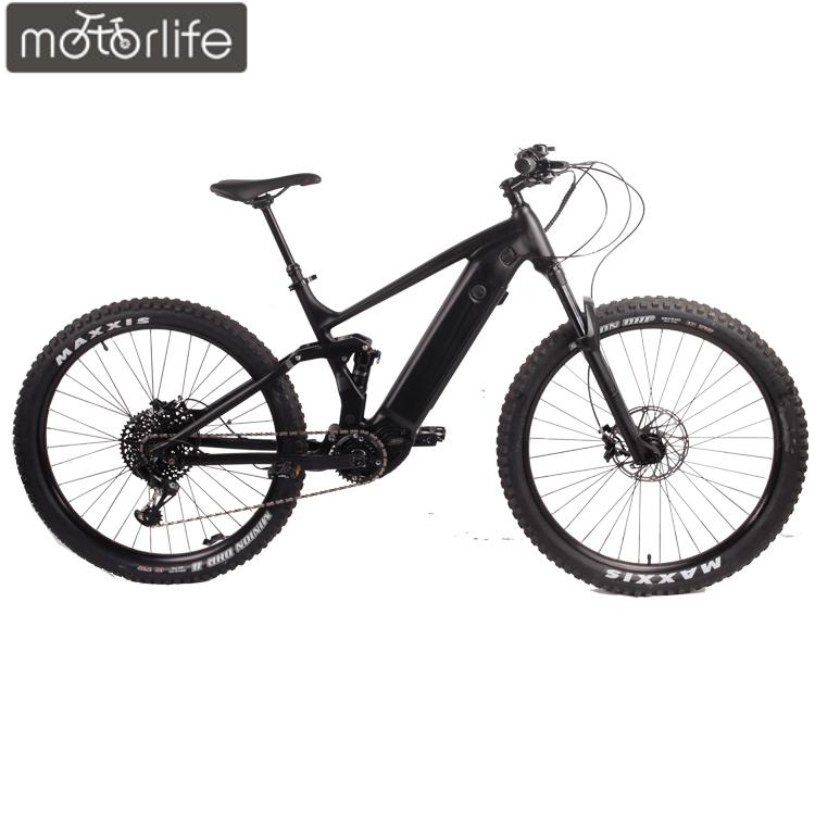 OEM Hot Sales 29 Inch Fat Tire Snow Bike with 48V Lithium Battery 500W M600 Mid Motor Electric Mountain Bicycle