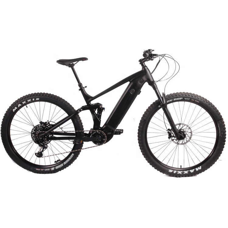 OEM Hot Sales 29 Inch Fat Tire Snow Bike with 48V Lithium Battery 500W M600 Mid Motor Electric Mountain Bicycle