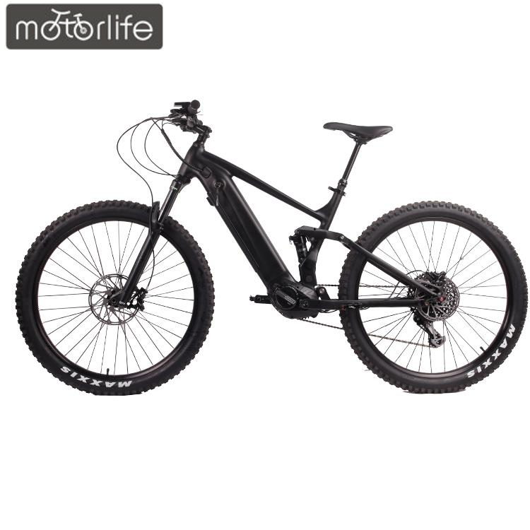 OEM Hot Sales 29 Inch Fat Tire Snow Bike with 48V Lithium Battery 500W M600 Mid Motor Electric Mountain Bicycle